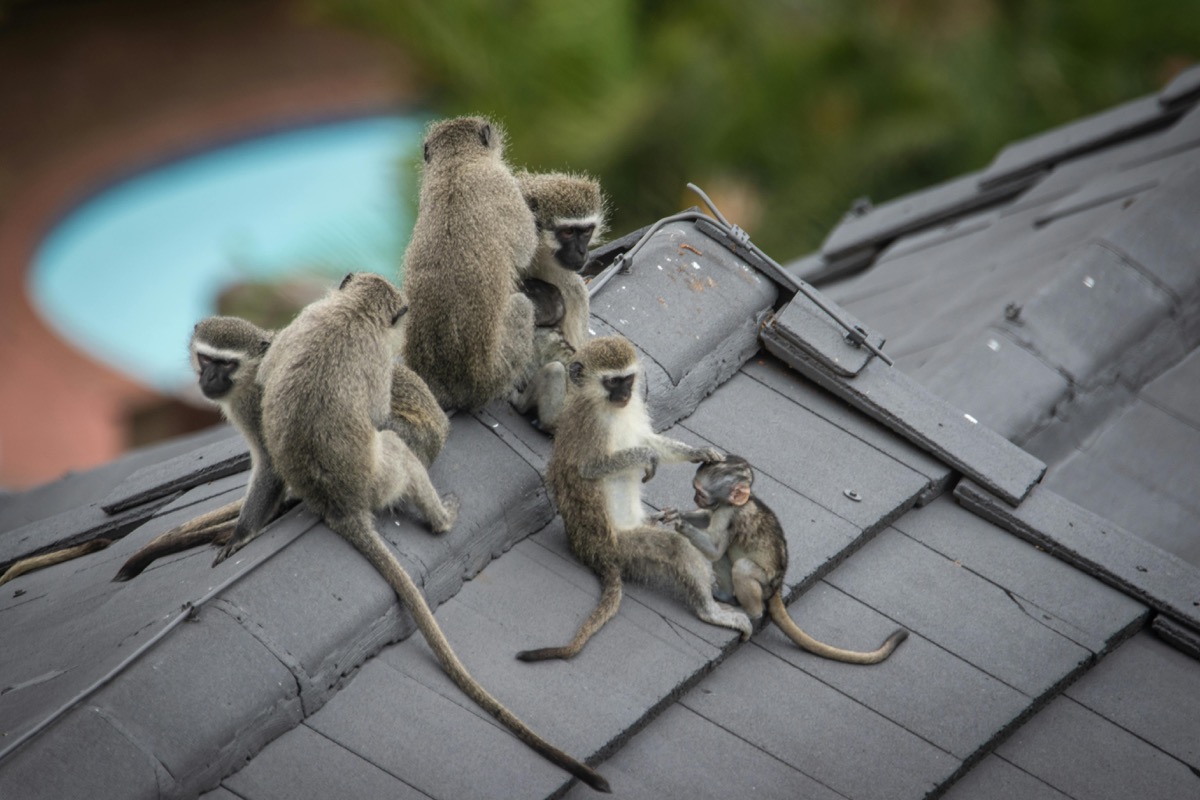 pexels-magda-ehlers-pexels-10900809