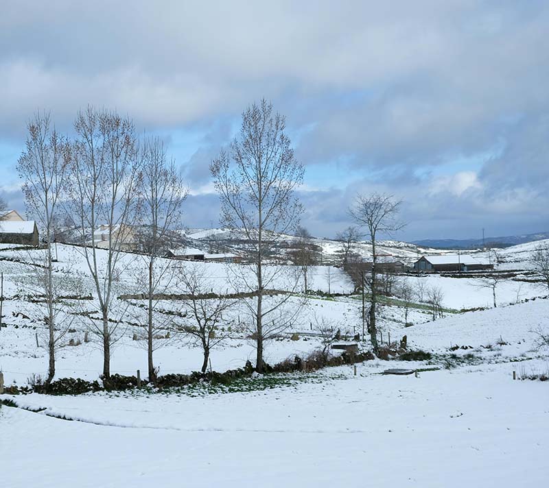 then-now Christmas, then and now