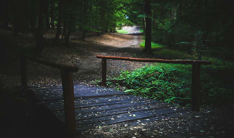 260130-05 Peace and tranquillity