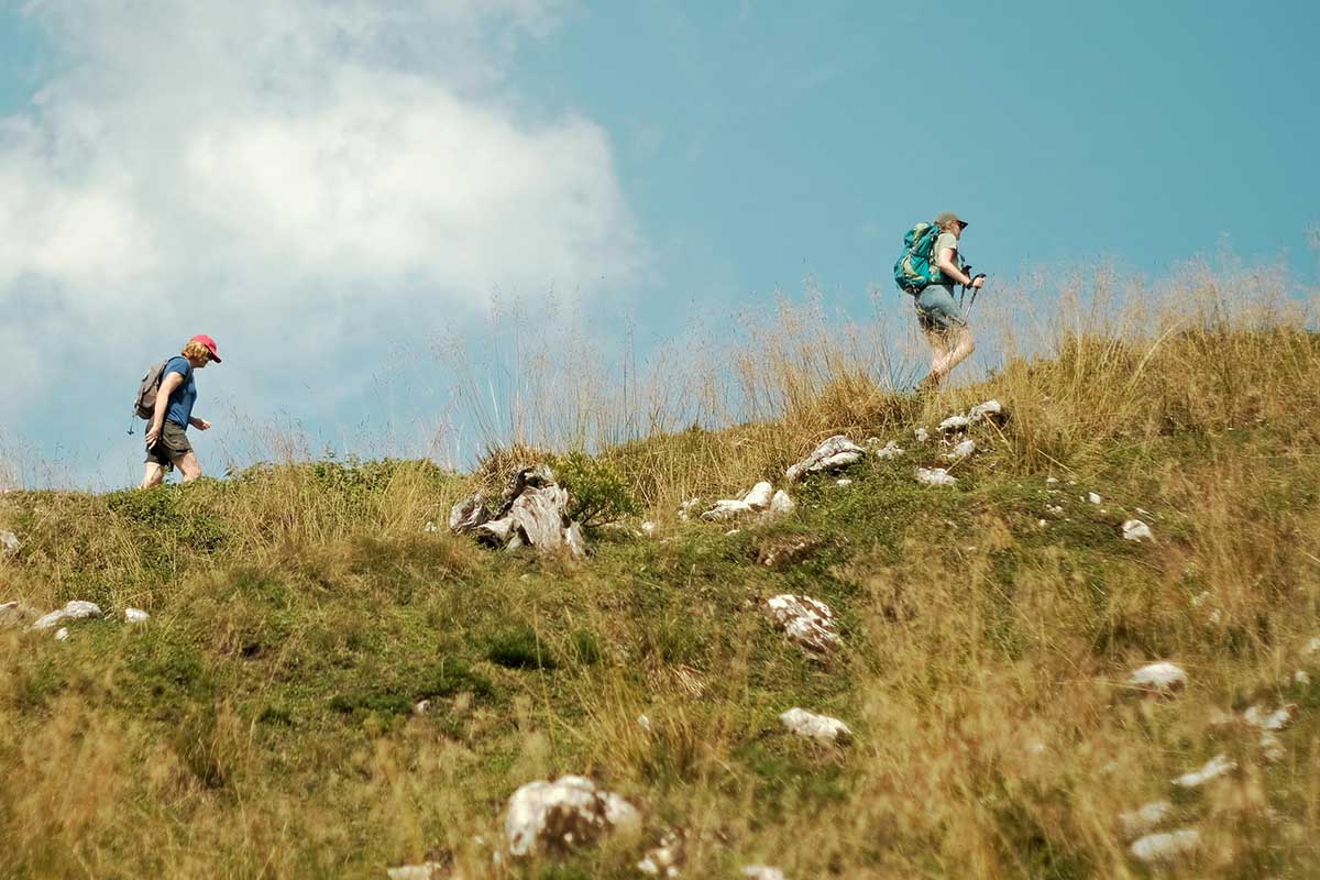 pexels-jiri-ikonomidis-164966727-28575773